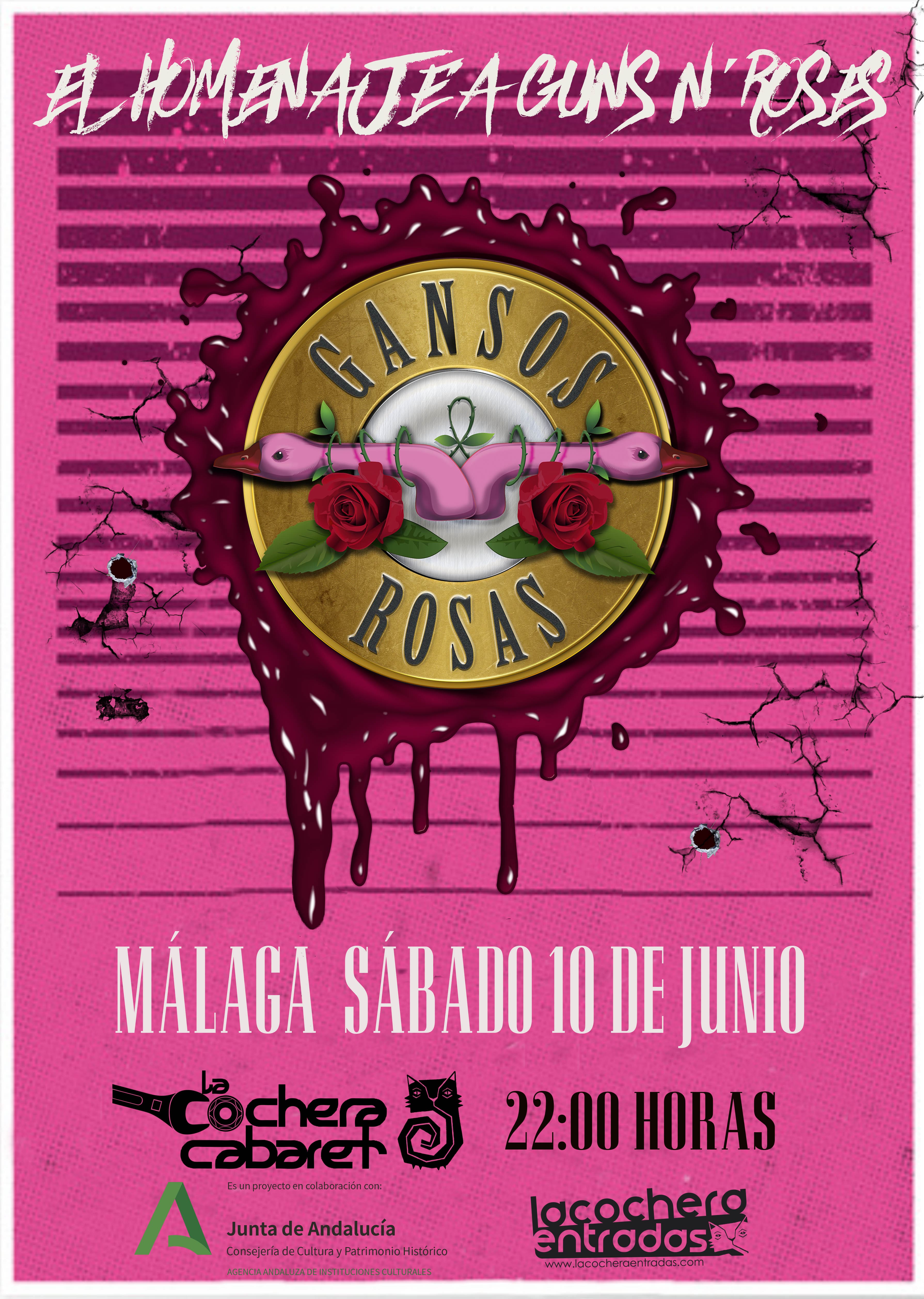 GANSOS ROSAS